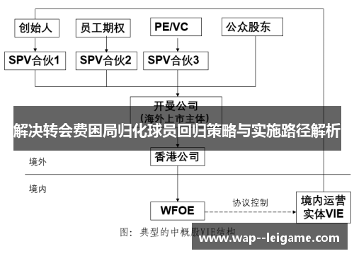 解决转会费困局归化球员回归策略与实施路径解析