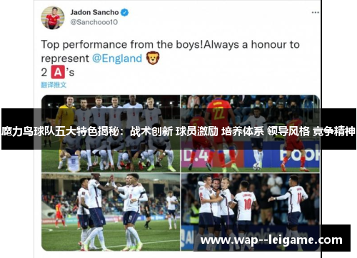 魔力鸟球队五大特色揭秘：战术创新 球员激励 培养体系 领导风格 竞争精神